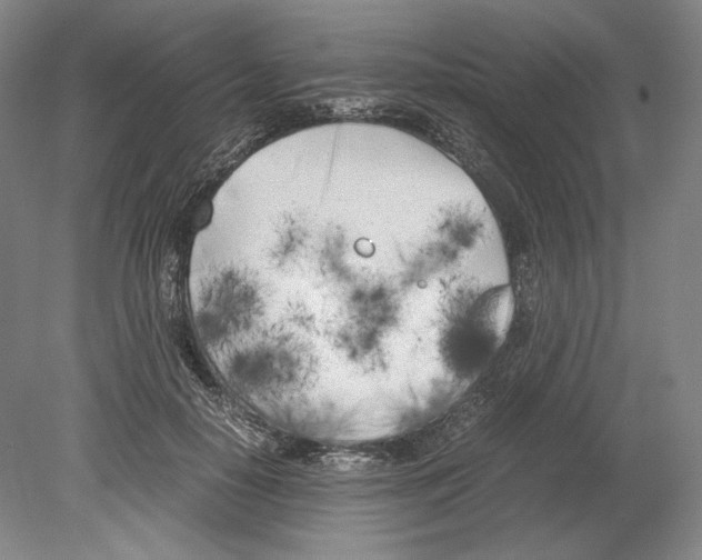 X0000080170650200701051632