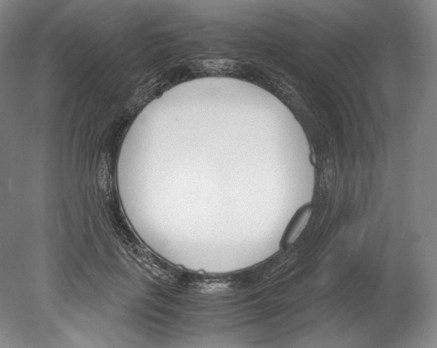 X0000080170651200701051632