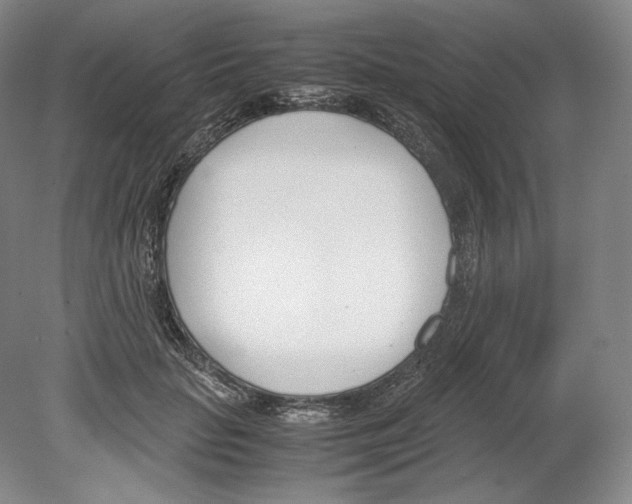 X0000080170653200701051632