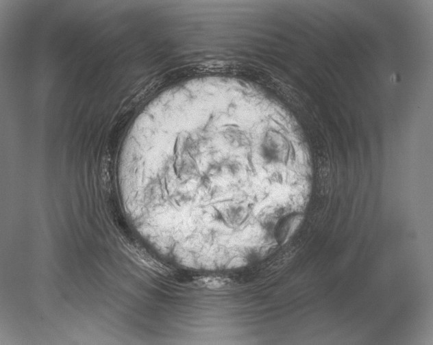 X0000080170654200701051632