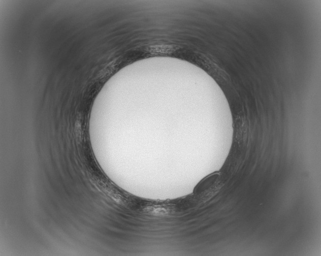 X0000080170655200701051632