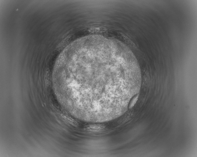 X0000080170659200701051632