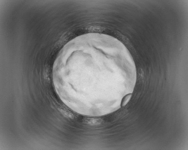 X0000080170663200701051632