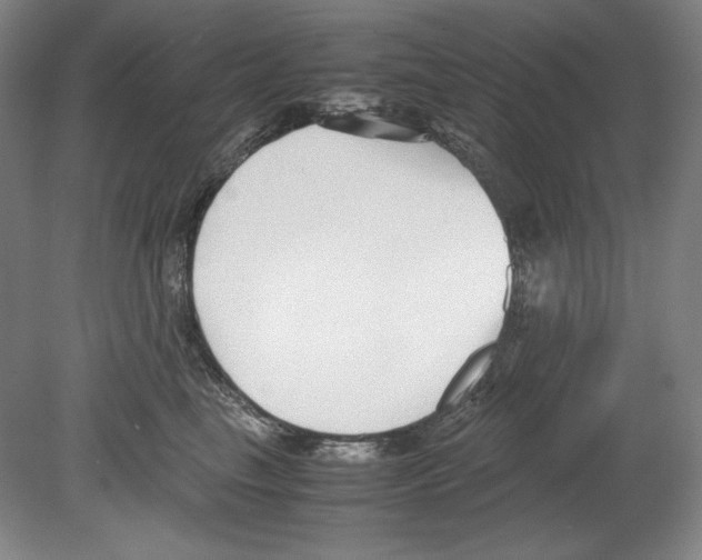 X0000080170665200701051633