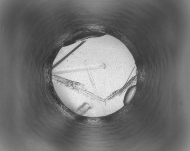 X0000080170666200701051633