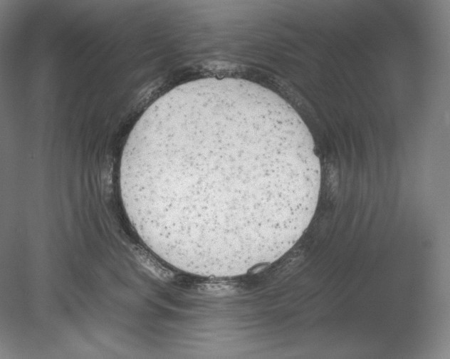 X0000080170668200701051633