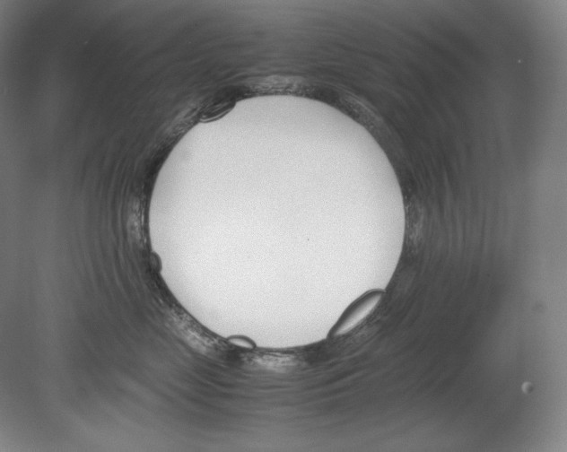 X0000080170669200701051633