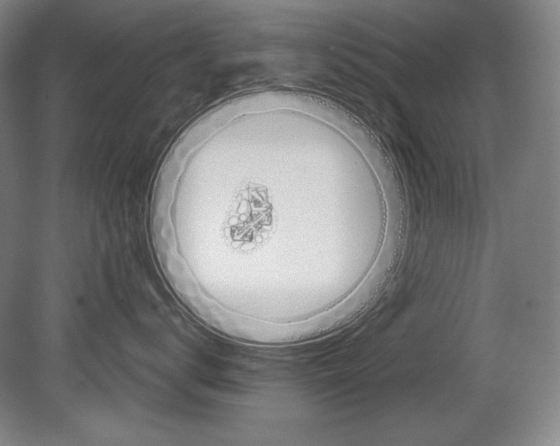 X0000080170672200701051633