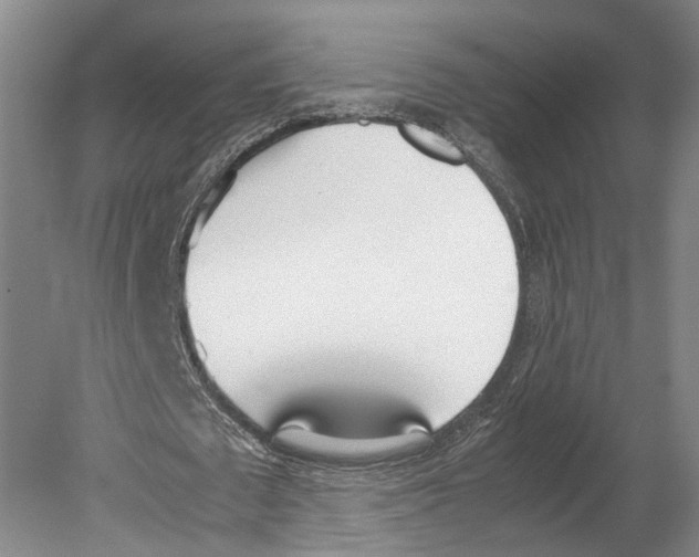 X0000080170673200701051632