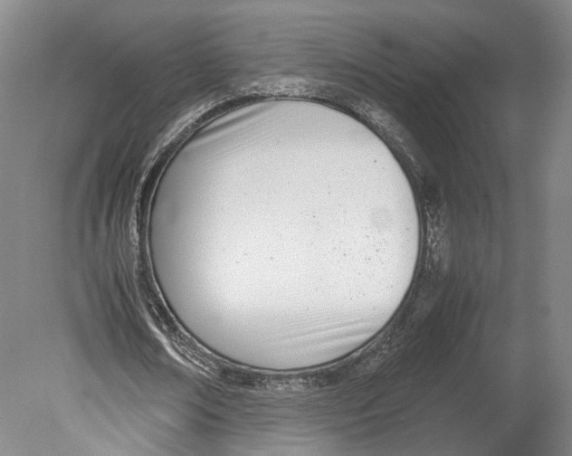 X0000080170674200701051632