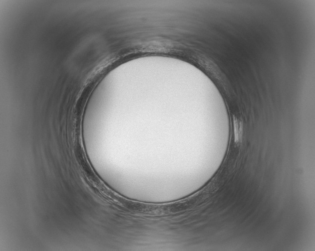 X0000080170675200701051632