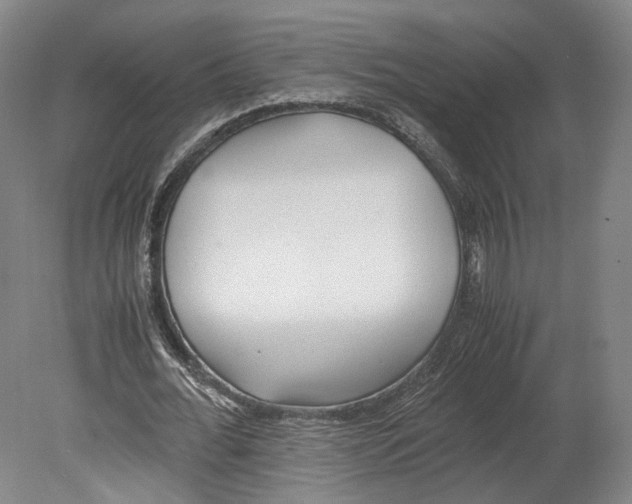 X0000080170676200701051632