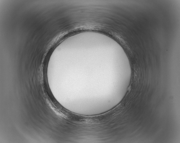 X0000080170678200701051632