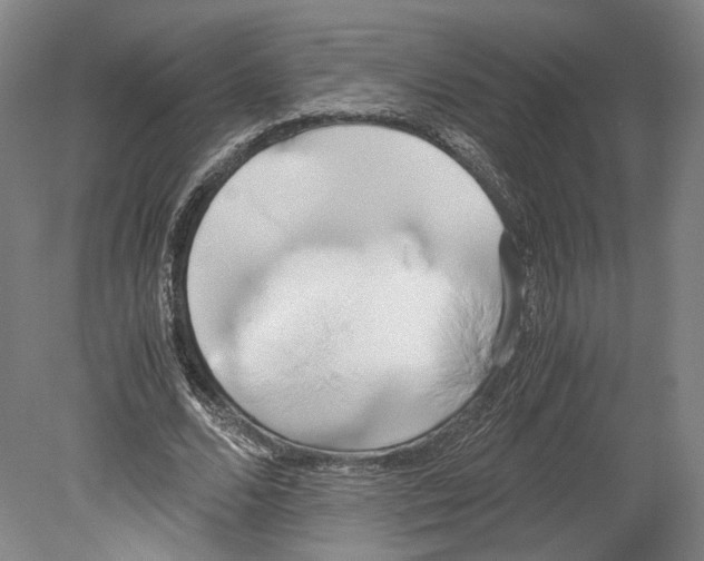X0000080170680200701051632