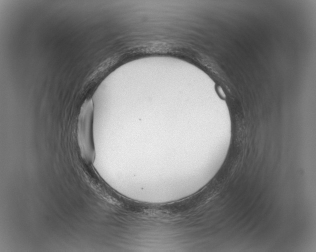 X0000080170681200701051632