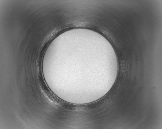 X0000080170682200701051632