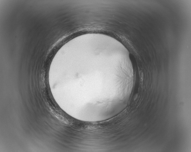 X0000080170684200701051632