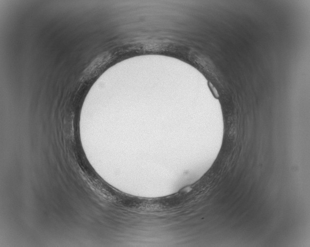 X0000080170685200701051632