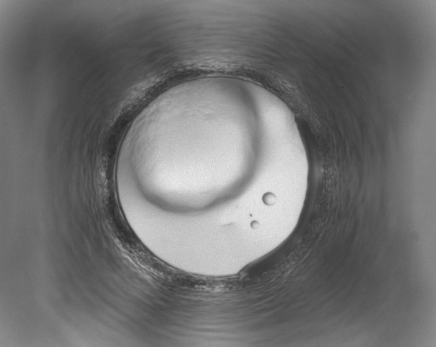 X0000080170688200701051632