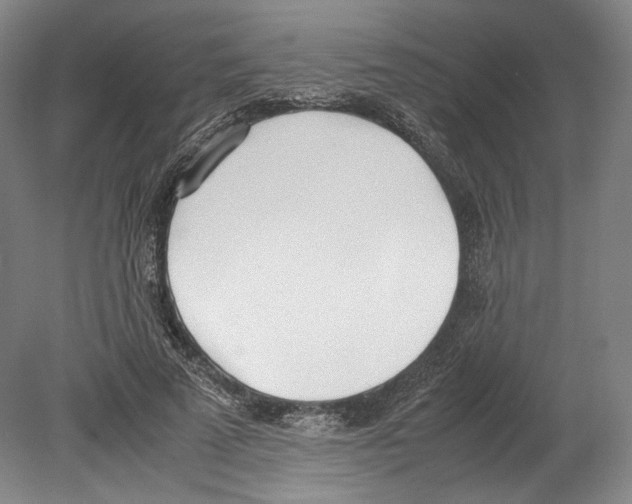 X0000080170689200701051632