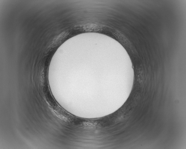 X0000080170690200701051632
