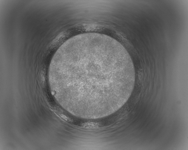 X0000080170691200701051632