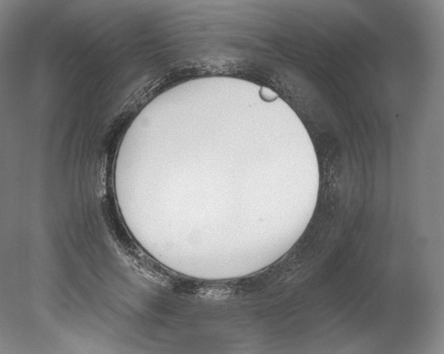 X0000080170694200701051631