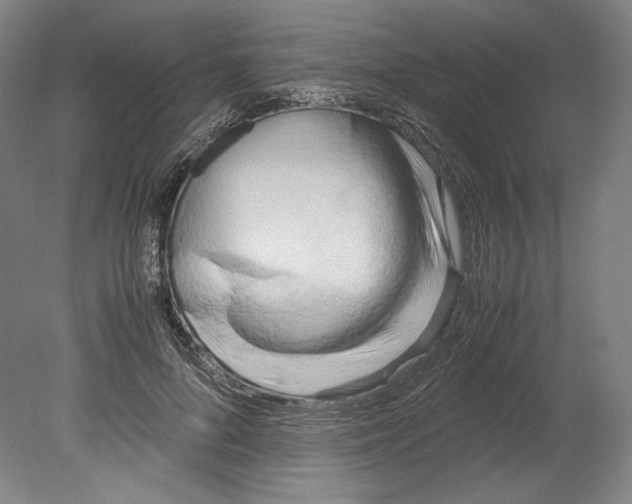 X0000080170696200701051631