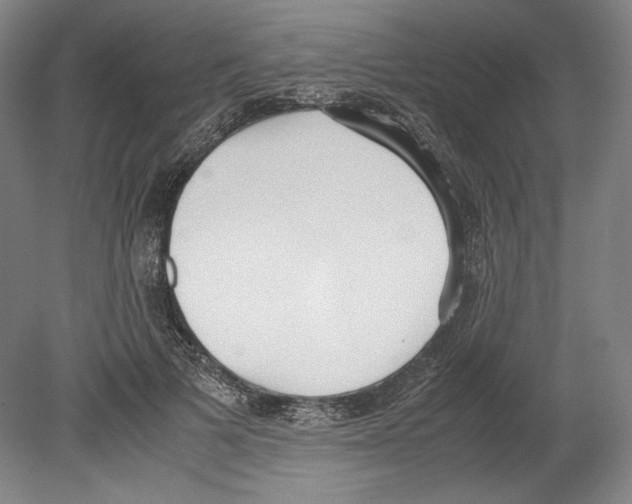 X0000080170697200701051631