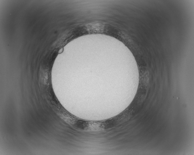 X0000080170709200701051631