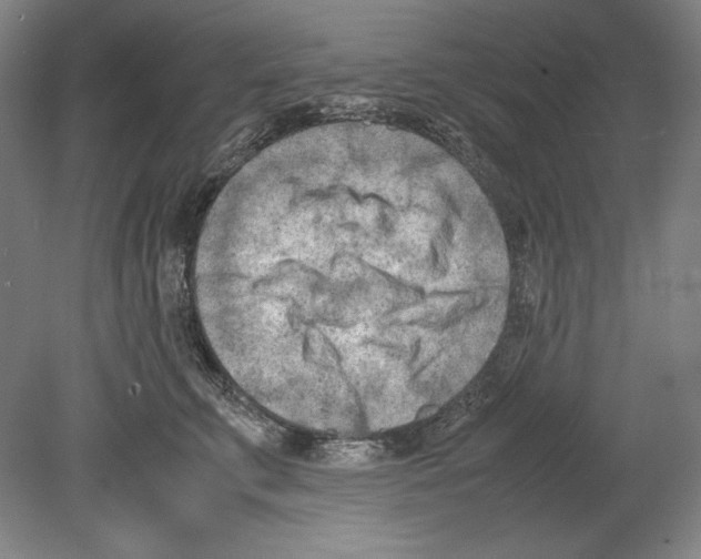 X0000080170711200701051631