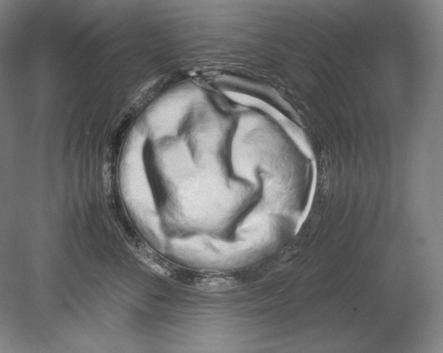 X0000080170716200701051631