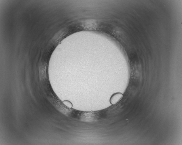 X0000080170717200701051631