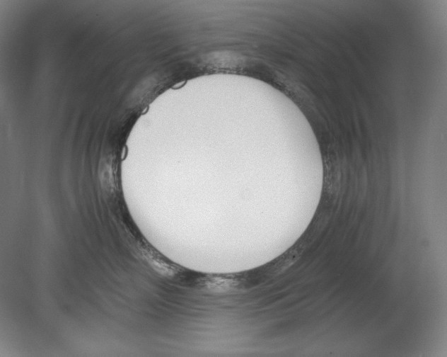 X0000080170718200701051631