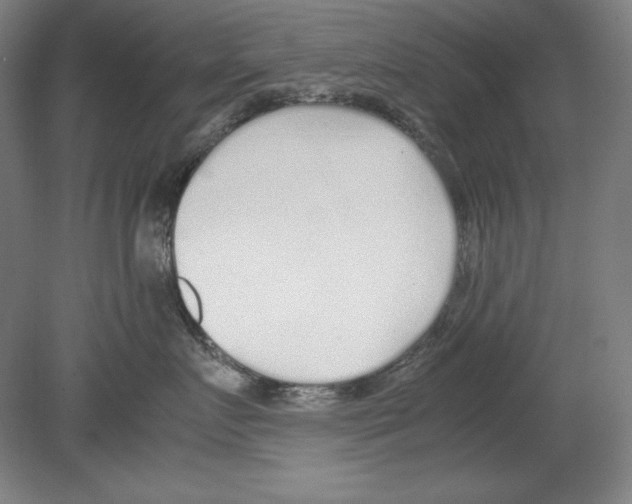 X0000080170719200701051631