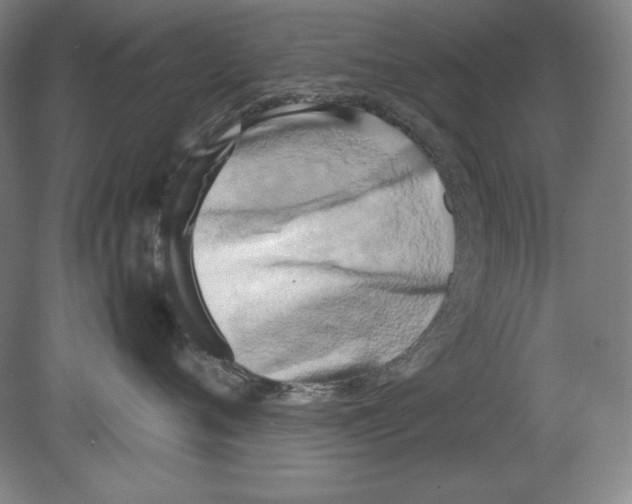 X0000080170720200701051631