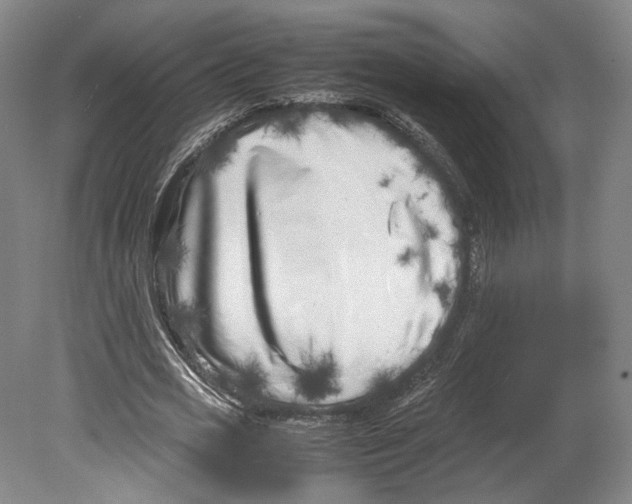 X0000080170725200701051630