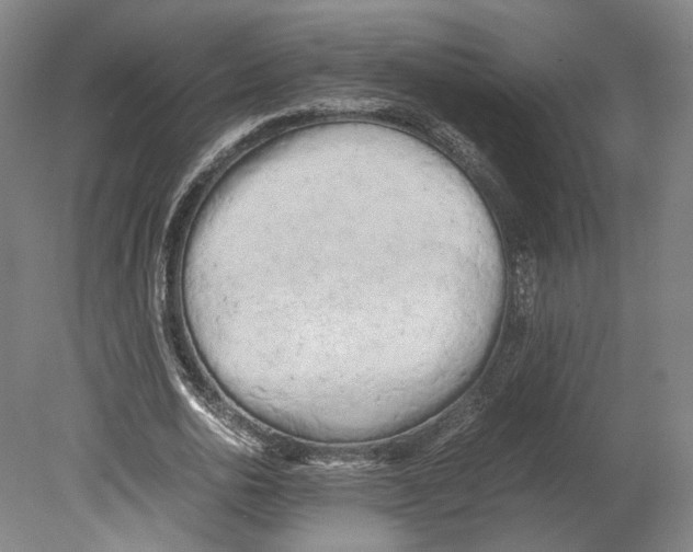 X0000080170726200701051630