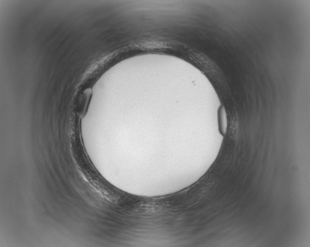X0000080170732200701051630