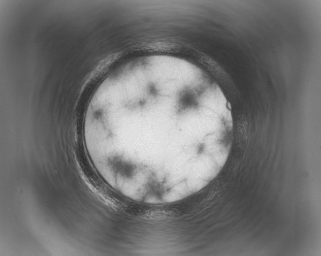 X0000080170734200701051630