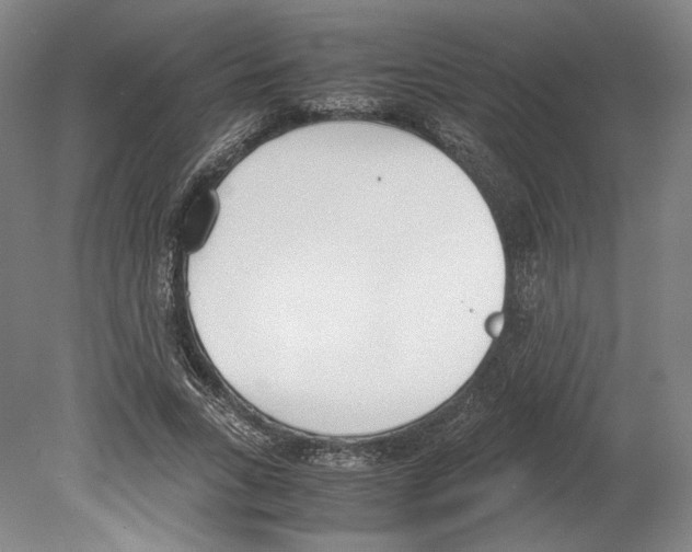 X0000080170735200701051630