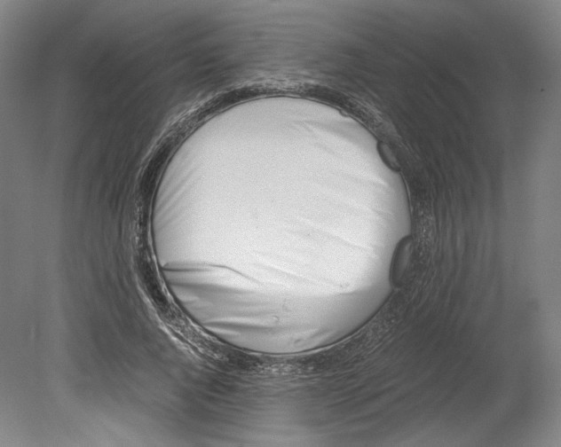X0000080170736200701051630