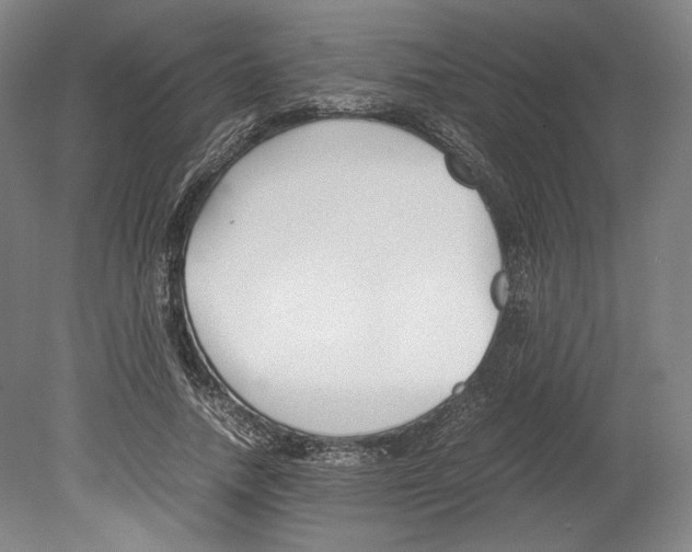 X0000080170738200701051631