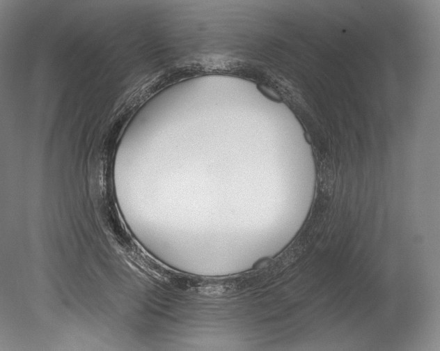 X0000080170740200701051631