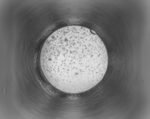X0000080170742200701051631