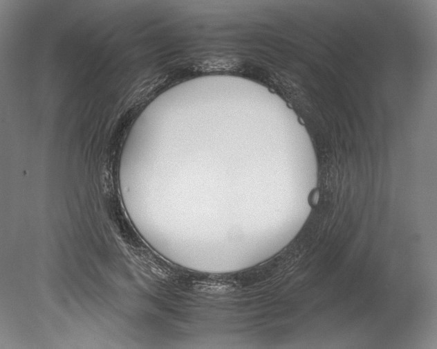 X0000080170743200701051631