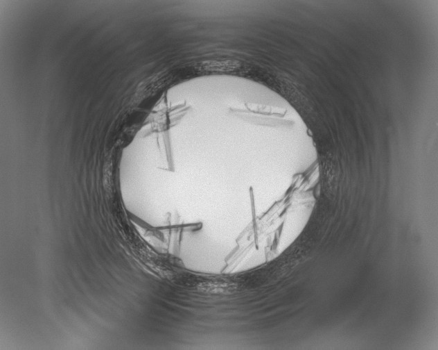 X0000080170745200701051631