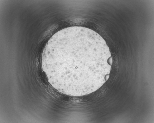X0000080170746200701051631