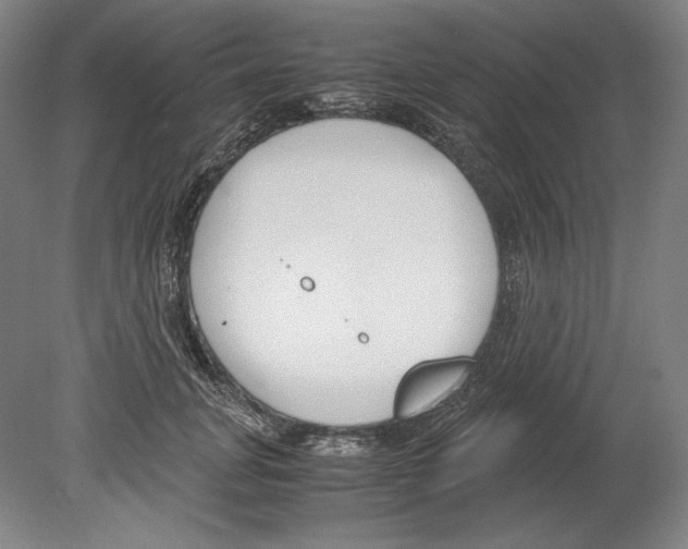 X0000080170751200701051631