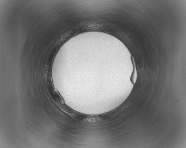 X0000080170752200701051631